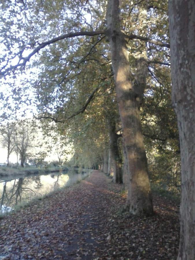 Gite 3 Etoiles "Entre Sources Et Riviere" Besancon Vaire-le-Grand Exterior foto